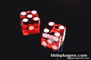 AG真人 bbinplaypro